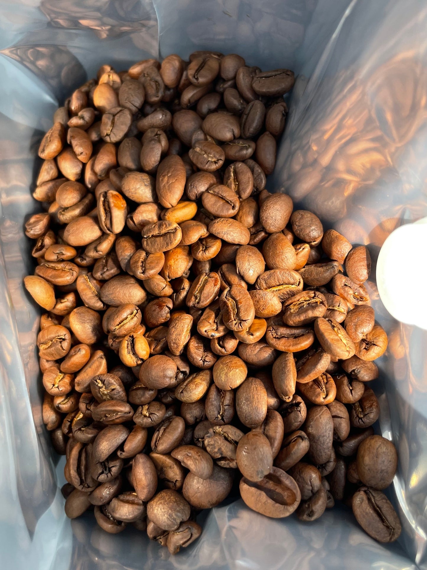 Roasted coffee beans in a clear plastic bag